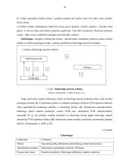 Rizikos kapitalo fondas, kaip alternatyvi verslo finansavimo priemonė 10 puslapis