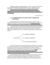 Teismo proceso dalykas - konspektas 2 puslapis