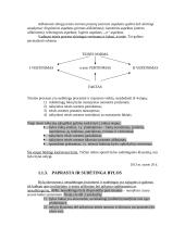 Teismo proceso dalykas - konspektas 4 puslapis