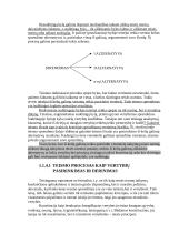 Teismo proceso dalykas - konspektas 5 puslapis