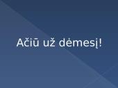 Globalizacija. Hiperbolistai, skeptikai, transnacionalistai 19 puslapis