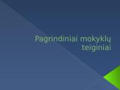 Globalizacija. Hiperbolistai, skeptikai, transnacionalistai 4 puslapis