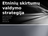 Etninių skirtumų valdymo strategija