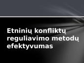 Etninių skirtumų valdymo strategija 13 puslapis