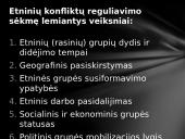Etninių skirtumų valdymo strategija 14 puslapis