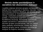 Etninių skirtumų valdymo strategija 20 puslapis