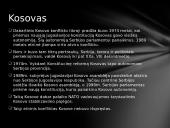 Etninių skirtumų valdymo strategija 4 puslapis