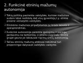 Etninių skirtumų valdymo strategija 5 puslapis