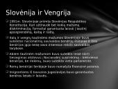 Etninių skirtumų valdymo strategija 6 puslapis