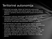 Etninių skirtumų valdymo strategija 8 puslapis