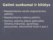 Įmonė UAB ,,Laisvalaikis“  verslo planas 12 puslapis