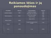 Įmonė UAB ,,Laisvalaikis“  verslo planas 14 puslapis