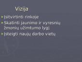 Įmonė UAB ,,Laisvalaikis“  verslo planas 4 puslapis