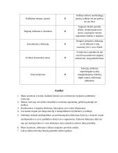 Laidos "Ką manai" analizė 3 puslapis