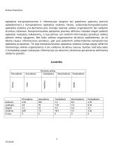 Apskaitos kompiuterizavimas UAB "Informacinės technologijos" 3 puslapis