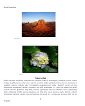 Apskaitos kompiuterizavimas UAB "Informacinės technologijos" 8 puslapis