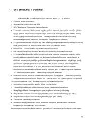 Smulkaus ir vidutinio verslo privalumai ir trukumai 13 puslapis