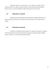 Smulkaus ir vidutinio verslo privalumai ir trukumai 16 puslapis