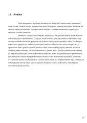 Smulkaus ir vidutinio verslo privalumai ir trukumai 17 puslapis