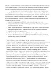 Smulkaus ir vidutinio verslo privalumai ir trukumai 7 puslapis