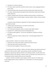 Smulkaus ir vidutinio verslo privalumai ir trukumai 10 puslapis