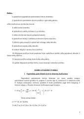 Trasos niveliavimas 3 puslapis