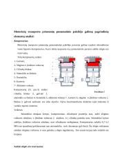 Motorinių transporto priemonių pneumatinis pakėlėjas 5 puslapis