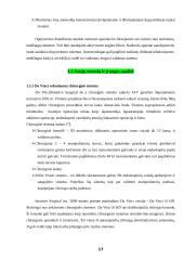 Pilvo chirurginės operacinės projektavimas 17 puslapis