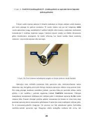 Pilvo chirurginės operacinės projektavimas 20 puslapis