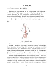 Pilvo chirurginės operacinės projektavimas 3 puslapis