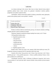 UAB “Euresta“ investicinis projektas 2 puslapis