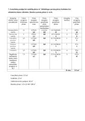 UAB “Euresta“ investicinis projektas 11 puslapis