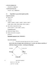 UAB “Euresta“ investicinis projektas 17 puslapis