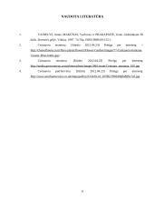 Bajorės 11 puslapis