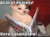 Dauno sindromas skaidrės 9 puslapis