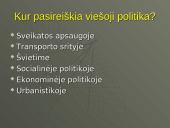 Viešosios politikos problemų analizė 13 puslapis