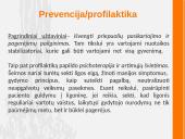 Manija 13 puslapis
