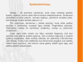 Manija 16 puslapis