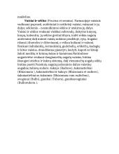 Vaistiniai augalai ir jų panaudojimas 6 puslapis