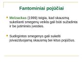 Skausmo psichologija ir skausmo valdymas 12 puslapis