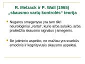 Skausmo psichologija ir skausmo valdymas 18 puslapis
