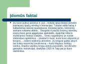 Adolfas Hitleris skaidrės 4 puslapis