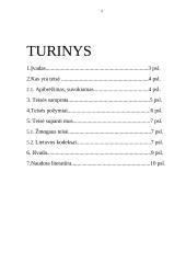 Teisės samprata namų darbas 2 puslapis