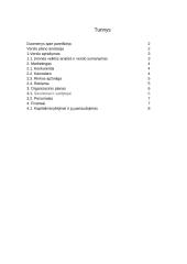 Verslo planas. Autoservisas