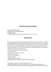 Verslo planas. Autoservisas 2 puslapis