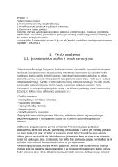 Verslo planas. Autoservisas 3 puslapis