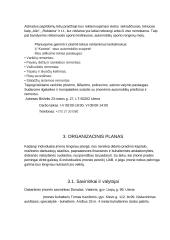 Verslo planas. Autoservisas 6 puslapis