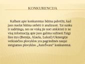 Verslo idėjos 11 puslapis