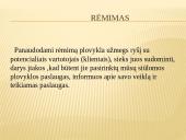 Verslo idėjos 12 puslapis