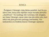 Verslo idėjos 15 puslapis